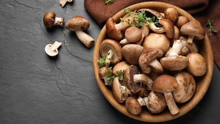Cogumelos são ótimas fontes de vitaminas e fibras