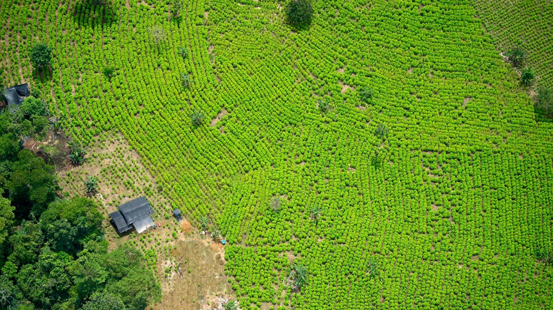 Na Colômbia de hoje, há menos espaço com o plantio de coca. Mas o setor é o mesmo ou até maior do que antes