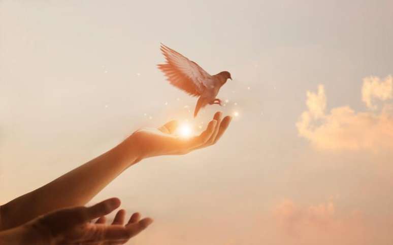 Saiba como aplicar na sua vida o conceito de inteligência espiritual - Shutterstock.