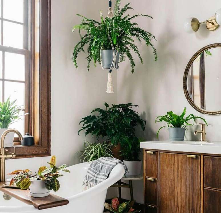 65. Vasos de plantas para decoração de banheiro simples e bonito – Foto: Omysa