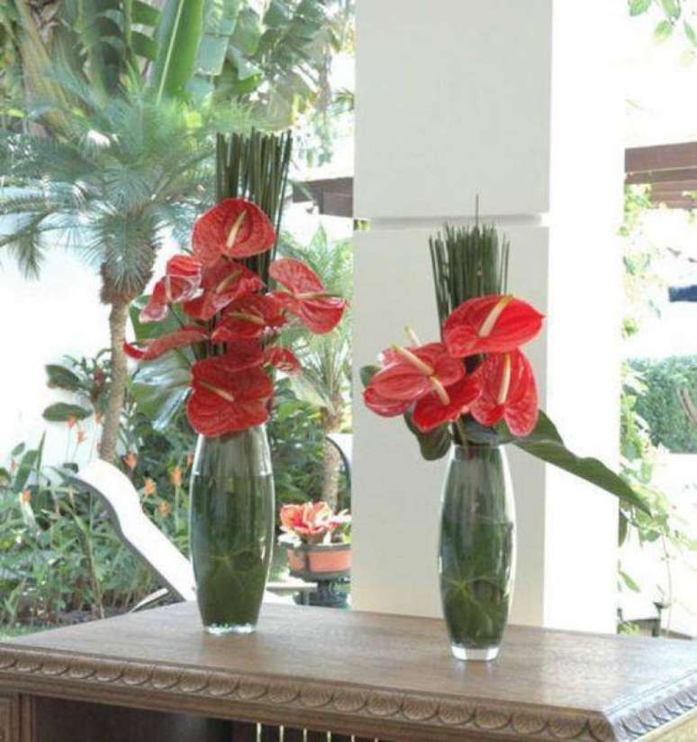 7. Vaso de flor para sala de antúrio vermelho – Foto Site Beleza e Moda