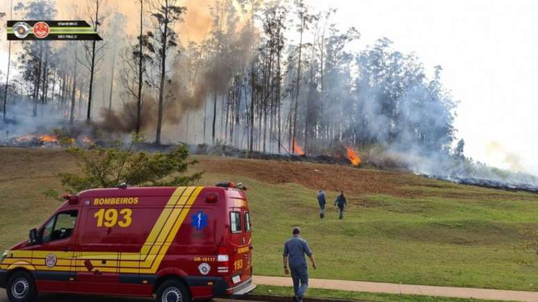 Celso Silveira Mello Filho, ex-presidente do XV de Piracicaba, morreu no acidente aéreo que vitimou também familiares do cartola (Foto: Reprodução/Corpo de Bombeiros PMESP)