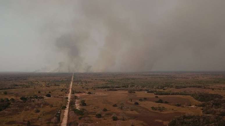 Incêndio no Cerrado, em foto de 2020; futuro parece preocupante para maioria dos jovens brasileiros, diz pesquisa