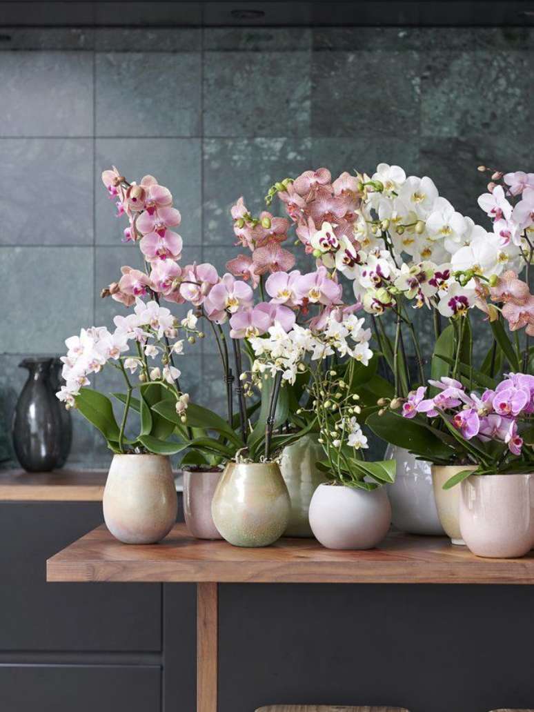 50. Vasos de flores para decoração de sala – Foto The Joy Of Plants