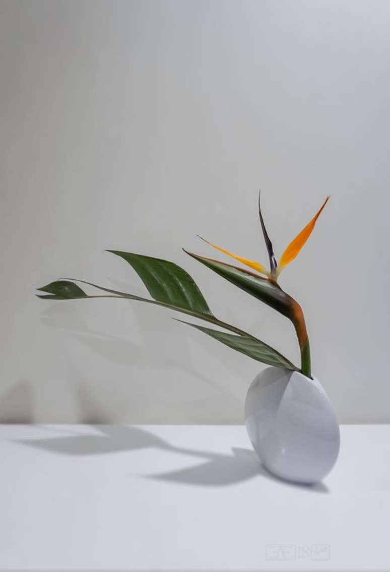 25. Vaso branco com flores em ikebana – Foto Hanakuma
