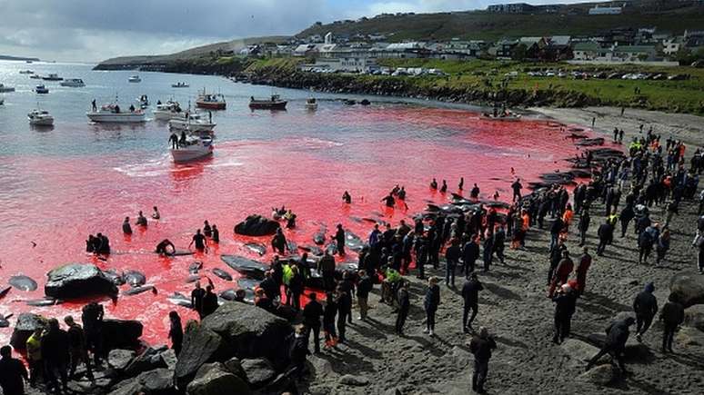 Caça de baleias, como a desta foto em Torshavn em 2019, é organizada pela própria comunidade