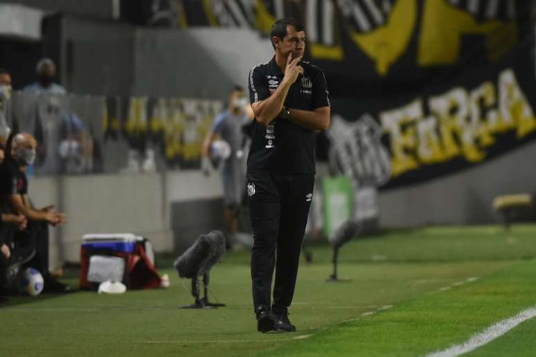 O técnico Fábio Carille evitou culpar os desfalques pela eliminação do Santos (Foto: Ivan Storti/Santos FC)