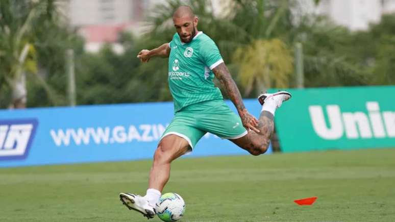 Último clube de Fernandão foi o Goiás (Foto: Rosiron Rodrigues / Goiás E.C.)