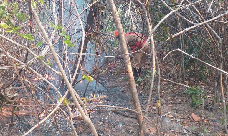 Incêndio na Chapada dos Veadeiros já dura cinco dias