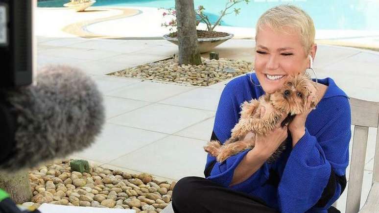 Durante anos ao longo da sua trajetória, Xuxa esteve cercada pelos rumores.