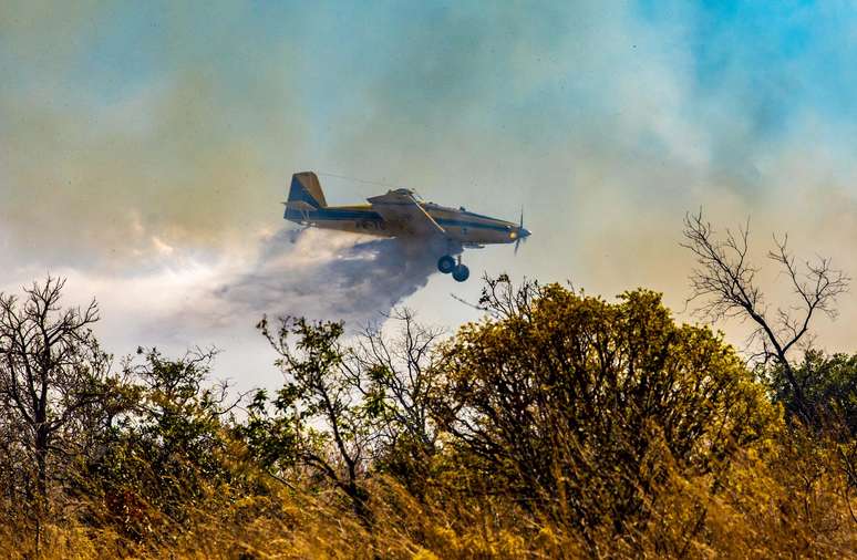 Incêndio em Goiás já consumiu mais de 18 mil hectares