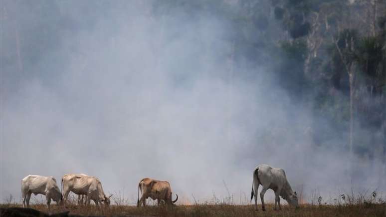 A agropecuária avança sobre a Amazônia