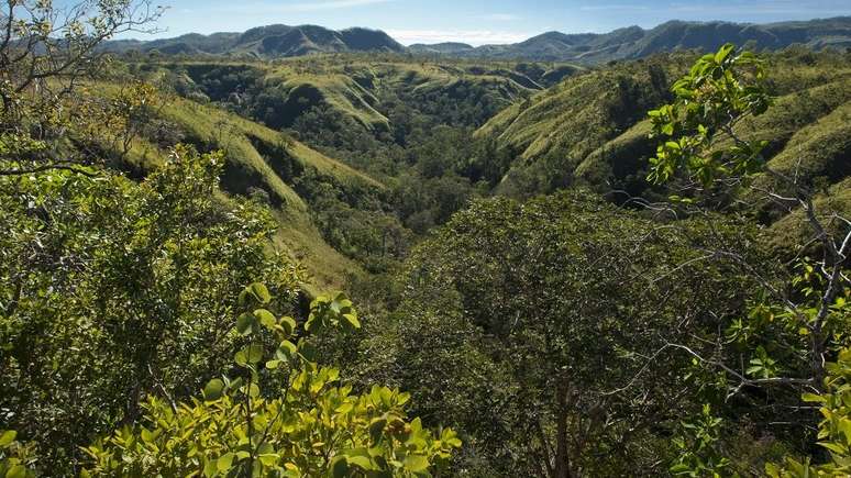 A Serra do Tombador tem 8.700 hectares, onde ficam 437 espécies de plantas e 531 espécies de animais