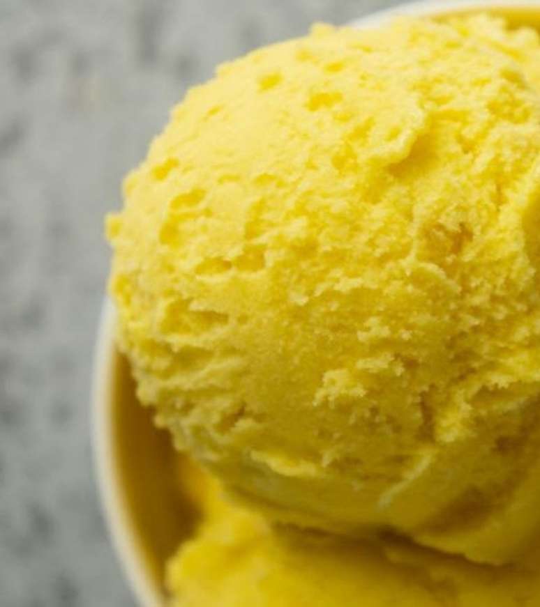 Foto: Divulga&ccedil;&atilde;o/Bio Mundo/Unsplash