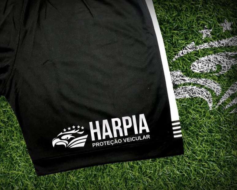 Harpia é a nova patrocinadora do Botafogo (Foto: Divulgação/Botafogo)