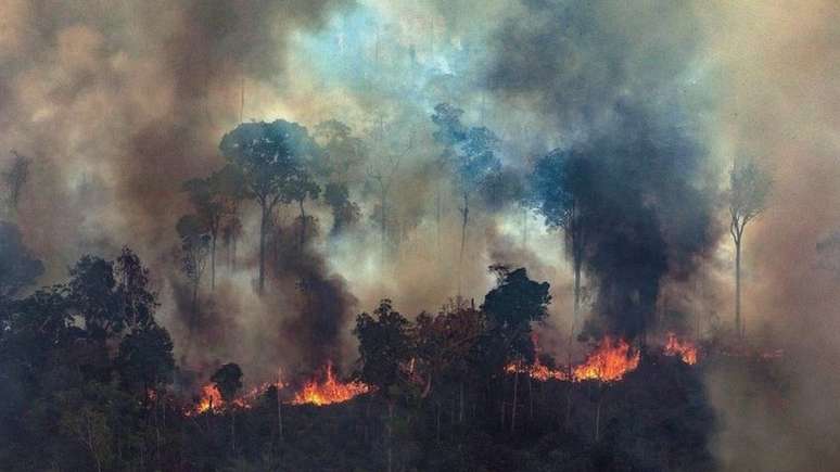 Um governo de centro-esquerda alemão potencialmente daria mais atenção à América Latina e ainda mais ênfase ao controle das mudanças climáticas, diz analista