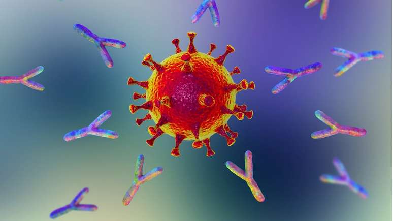 Autoanticorpos atacam várias vias do sistema imunológico, de acordo com pesquisadores de Yale