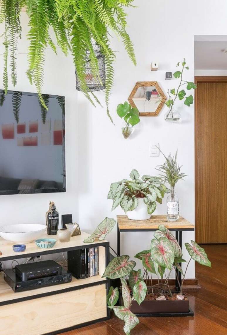 62. Vasos com plantas para decoração de sala simples com TV na parede – Foto: Gisele Rampazzo