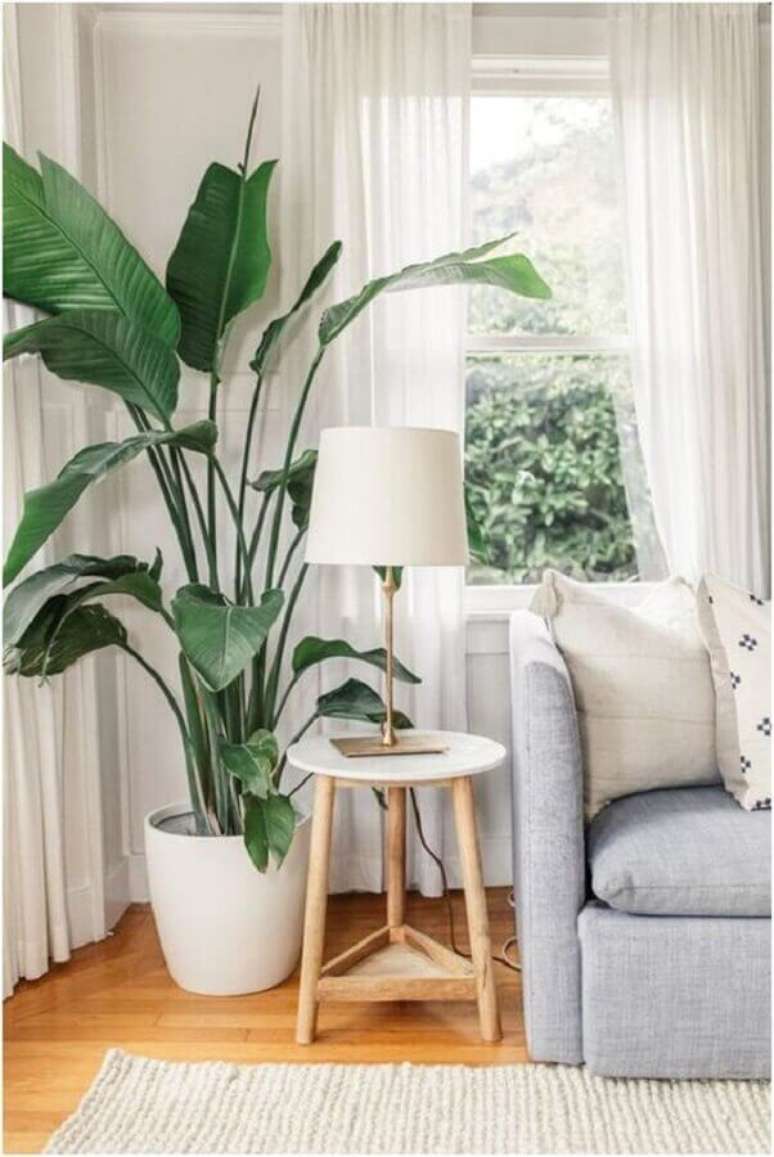 1. Decoração de sala com plantas naturais e sofá cinza – Foto: Decor Fácil