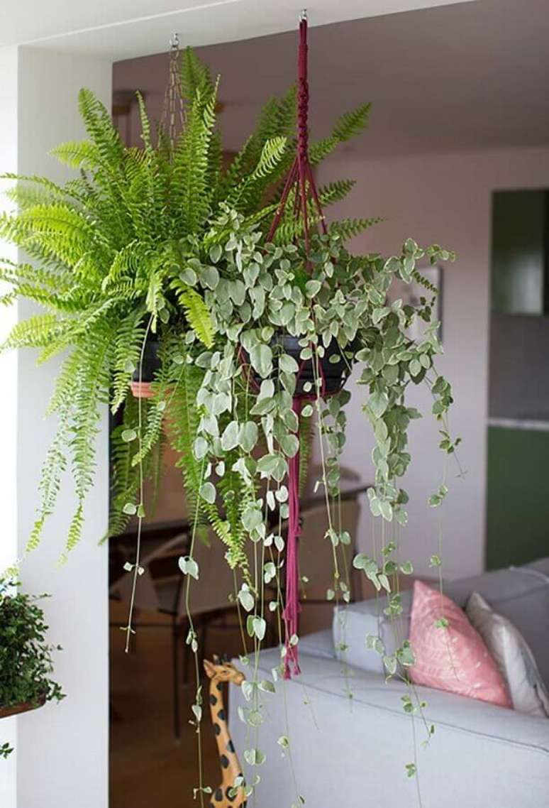 20. Decoração de sala com plantas pendentes – Foto: Revista Artesanato