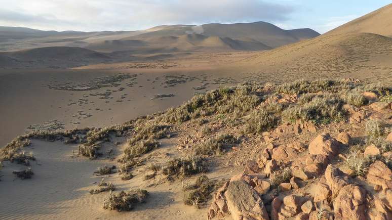 O cinturão desértico entre Peru e Chile é hiperárido e considerado o mais seco do mundo