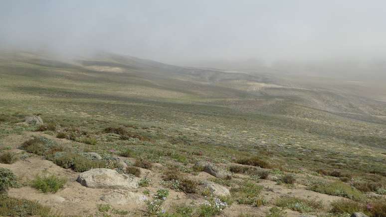 As colinas são um dos ecossistemas mais difíceis de mapear devido à presença de neblina