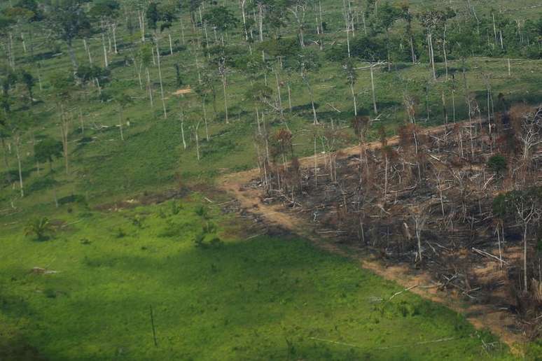 Vista aérea de área desmatada da Amazônia em Rondônia
28/09/2021 REUTERS/Adriano Machado