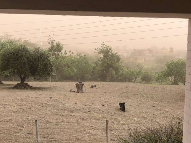 Tempestade de poeira deixou rastros de estragos nas cidades 