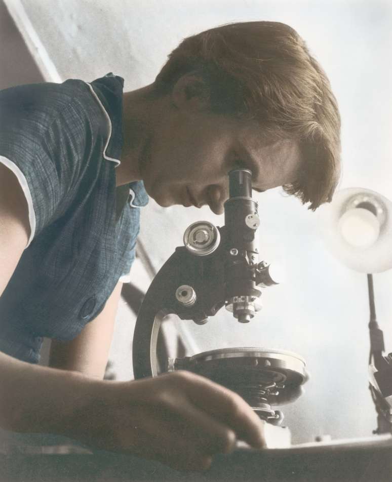 Em 1951, Rosalind Franklin começou a trabalhar no que se tornaria uma das investigações científicas mais importantes do século 20: a descoberta da estrutura do DNA