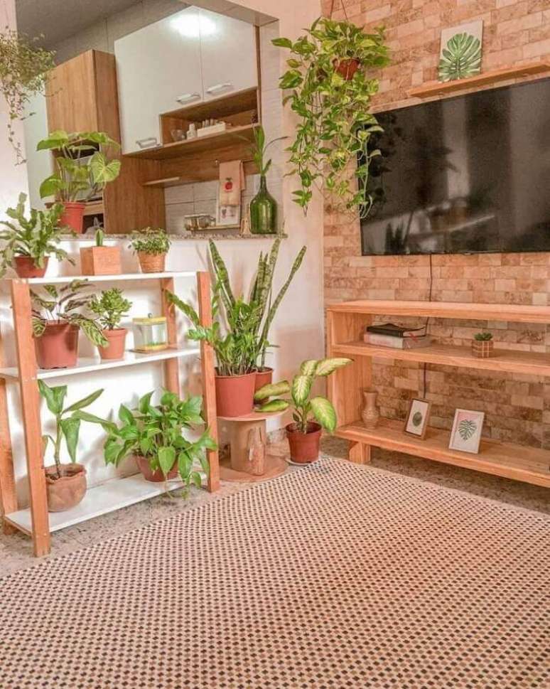 4. Vasos de plantas para decoração de sala de TV rustica e simples – Foto: Casa 41