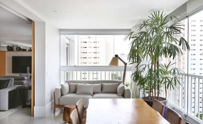 38. A Palmeira r&aacute;fia apesar de apreciar a umidade, ela n&atilde;o tolera o encharcamento. Fonte: Anna Paula Moraes