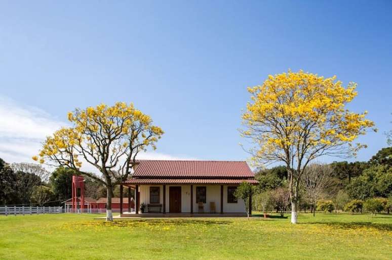 38. As &aacute;rvores se tornam protagonistas nesse terreno. Fonte: Homify