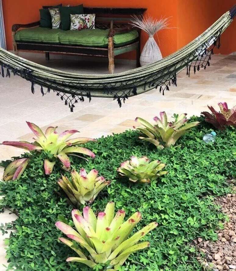 26. As brom&eacute;lias trazem vida para o jardim da casa simples. Projeto por Cris Nardinelli Paisagismo