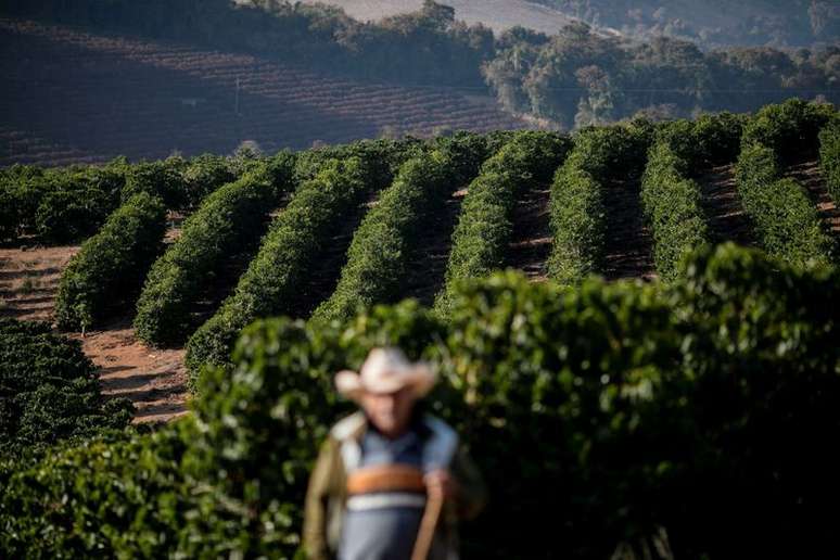 Lavoura de caf&eacute; em Minas Gerais
30/07/2021
REUTERS/Roosevelt Cassio