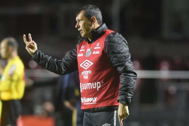 O técnico Fábio Carille evita fazer contas para o Santos escapar do rebaixamento (Foto: Ivan Storti/Santos FC)