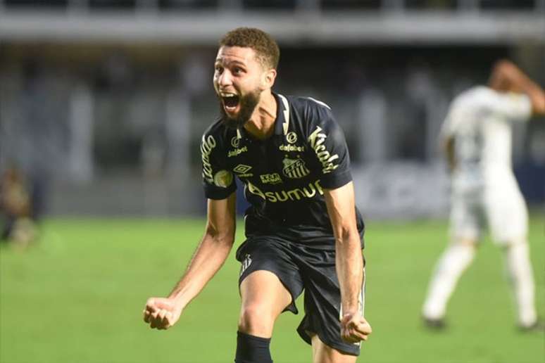 Wagner Leonardo comemora o primeiro gol com a camisa do Santos (Foto: Ivan Storti / Santos FC)