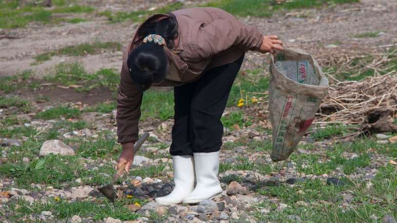 Grande fome matou milhares de norte-coreanos nos anos 90; país ainda enfrenta escassez de alimentos; na foto acima, mulher colhe grama para comer
