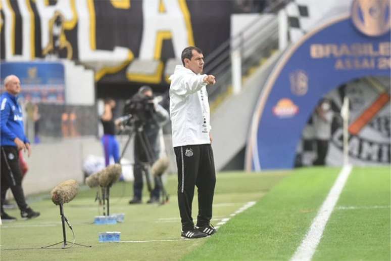 Fábio Carille destacou a importância da vitória para a sequência do ano do Santos (Foto: Divulgação / Santos FC)