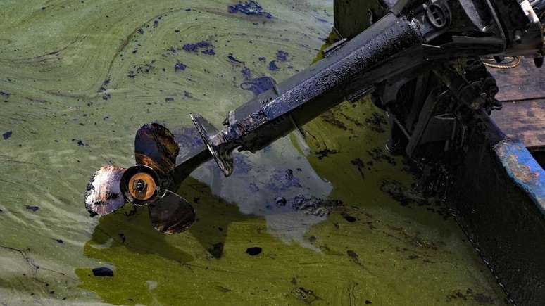 Embarcações também são afetadas pela contaminação