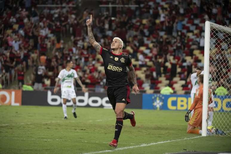 Pedro marcou seu 17º gol na temporada (Foto: Alexandre Vidal/Flamengo)
