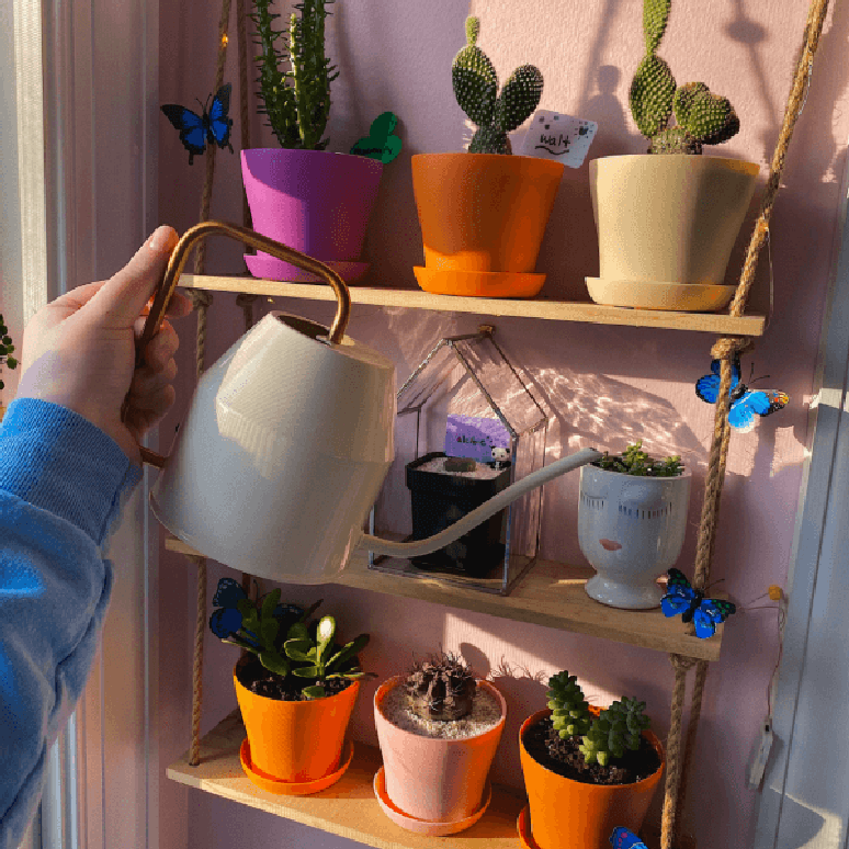 43. Vasos de plantas coloridas na decoração para quarto indie – Foto We Hearth It