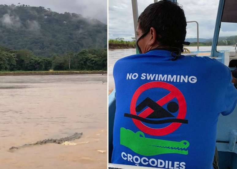 Moradores se queixam por não poderem explorar atividade de avistamento de crocodilos
