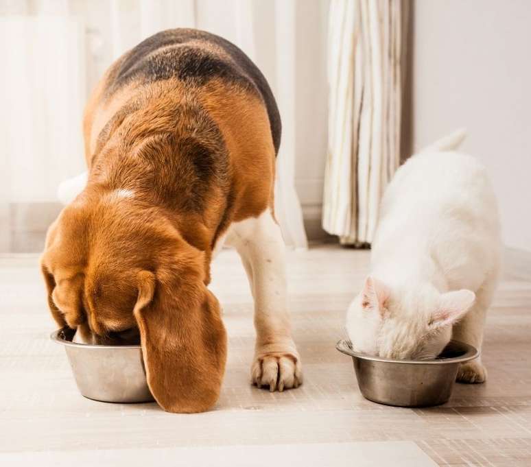 Dieta balanceada também é importante para a prevenção do câncer de mama 