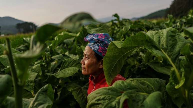 As condições para os trabalhadores migrantes podem ser terríveis na Coreia do Sul