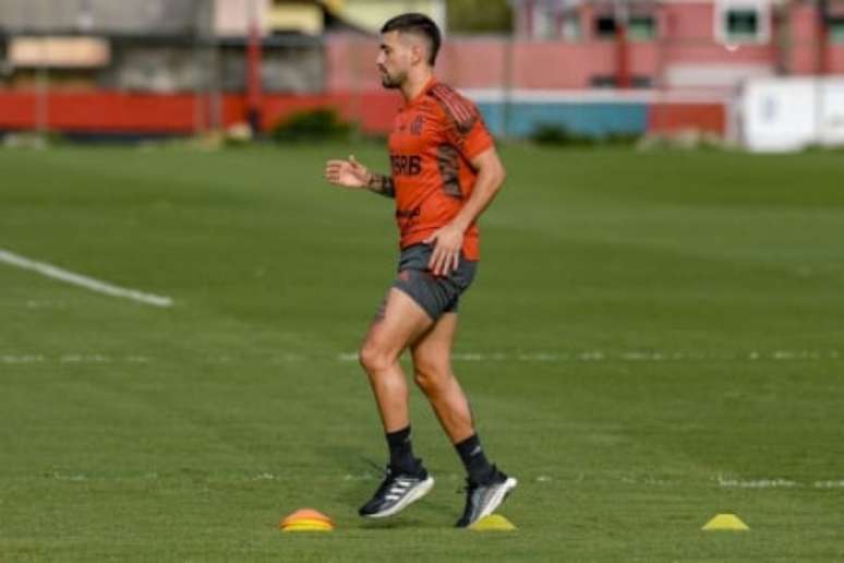 (Foto: Marcelo Cortes/Flamengo)