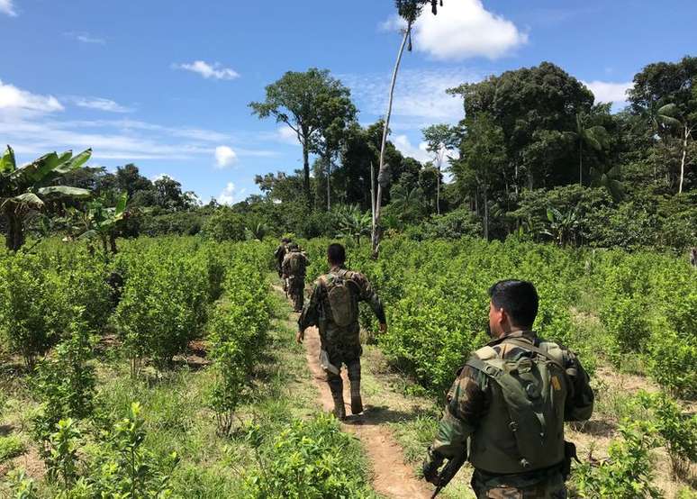 Polícia peruana em plantação de coca em  Caballococha
02/11/2019
REUTERS/Gabriel Stargardter