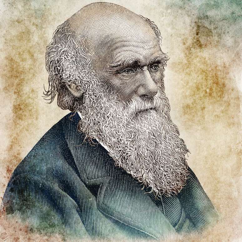 Darwin publicou 19 obras e centenas de estudos científicos