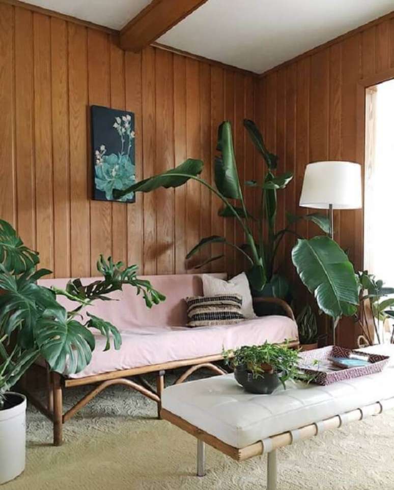 2. Vasos de plantas para sala decorada com parede de lambri de madeira rustica – Foto: Jungalow