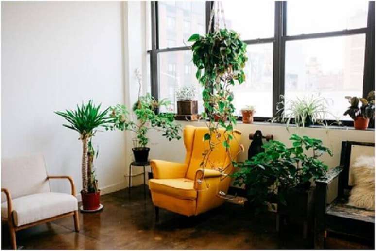 2. Sala simples decorada com vasos de plantas e poltrona amarela – Foto: habitíssimo