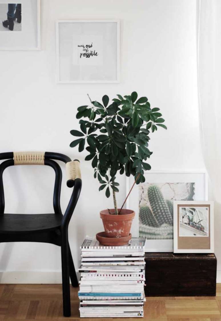2. Pilha de revistas com vaso de cheflera flor na decoração de sala de estar – Foto Decor Facil